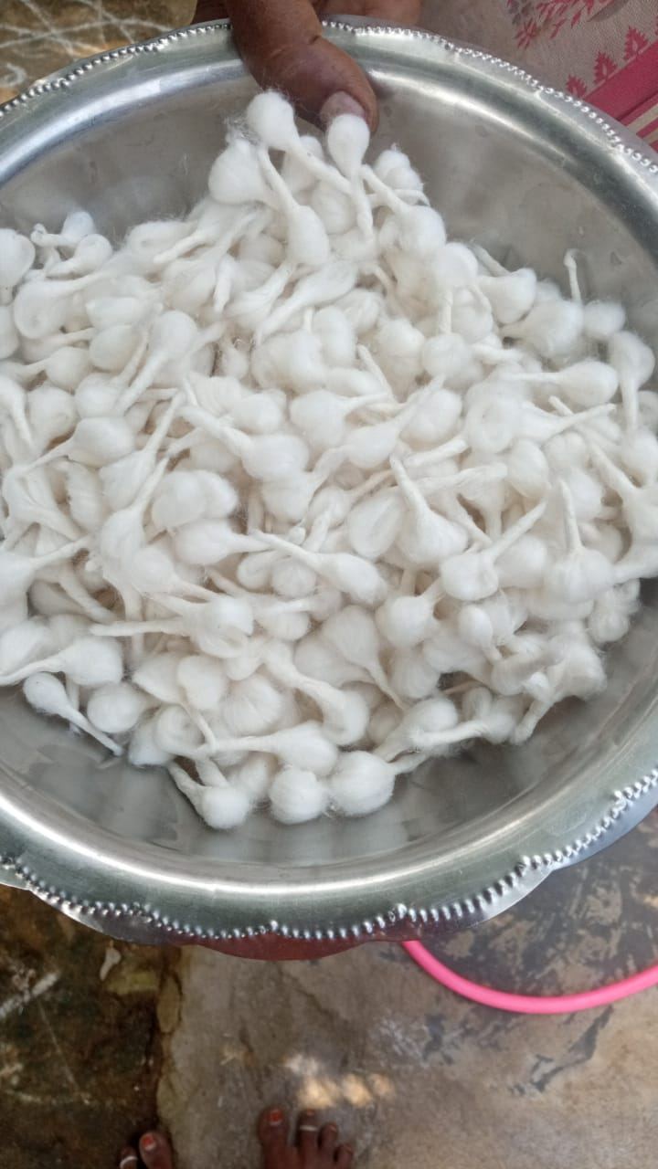 Raw cotton wicks