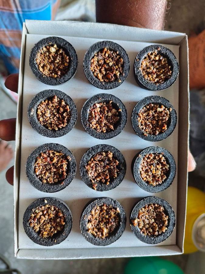 Dalyns Cup Sambrani – 12 Cups Pack