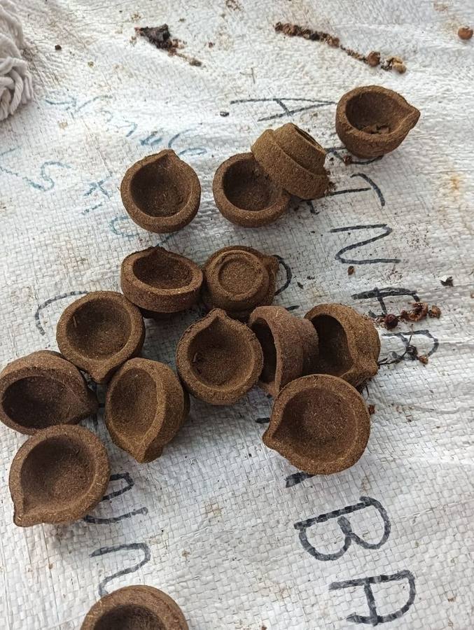 Raw sambrani cups